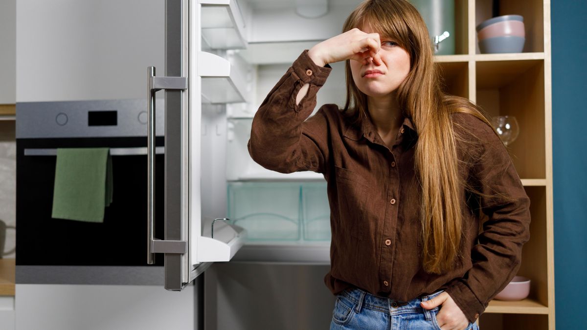 Jak se zbavit nelibého pachu v lednici